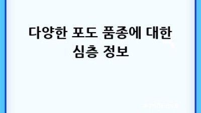 와인 입문자를 위한 완벽 가이드🍷
