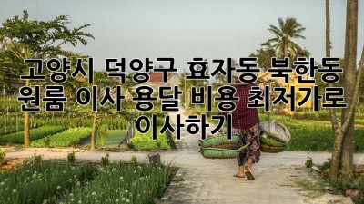고양시 덕양구 효자동, 북한동 원룸 이사 용달 비용 최저가로 이사하기!