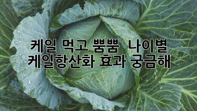 케일 먹고 뿜뿜! ✨ 나이별 케일항산화 효과 궁금해? 🤔